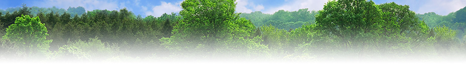 AccuShred provides eco-friendly computer destruction and recycling Environmentally-friendly recycling of technology